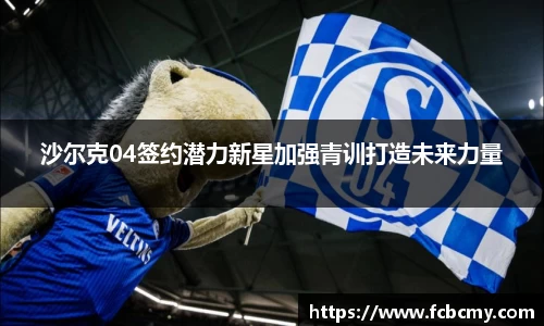 南宫NG28