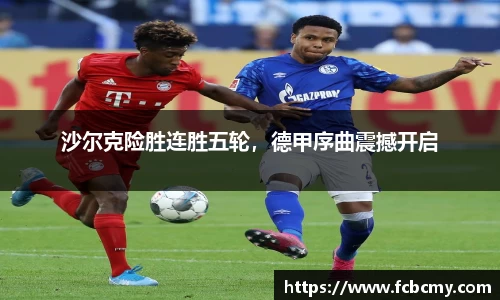 南宫28NG相信品牌力量